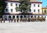 Homenaje a los Veteranos  (66)